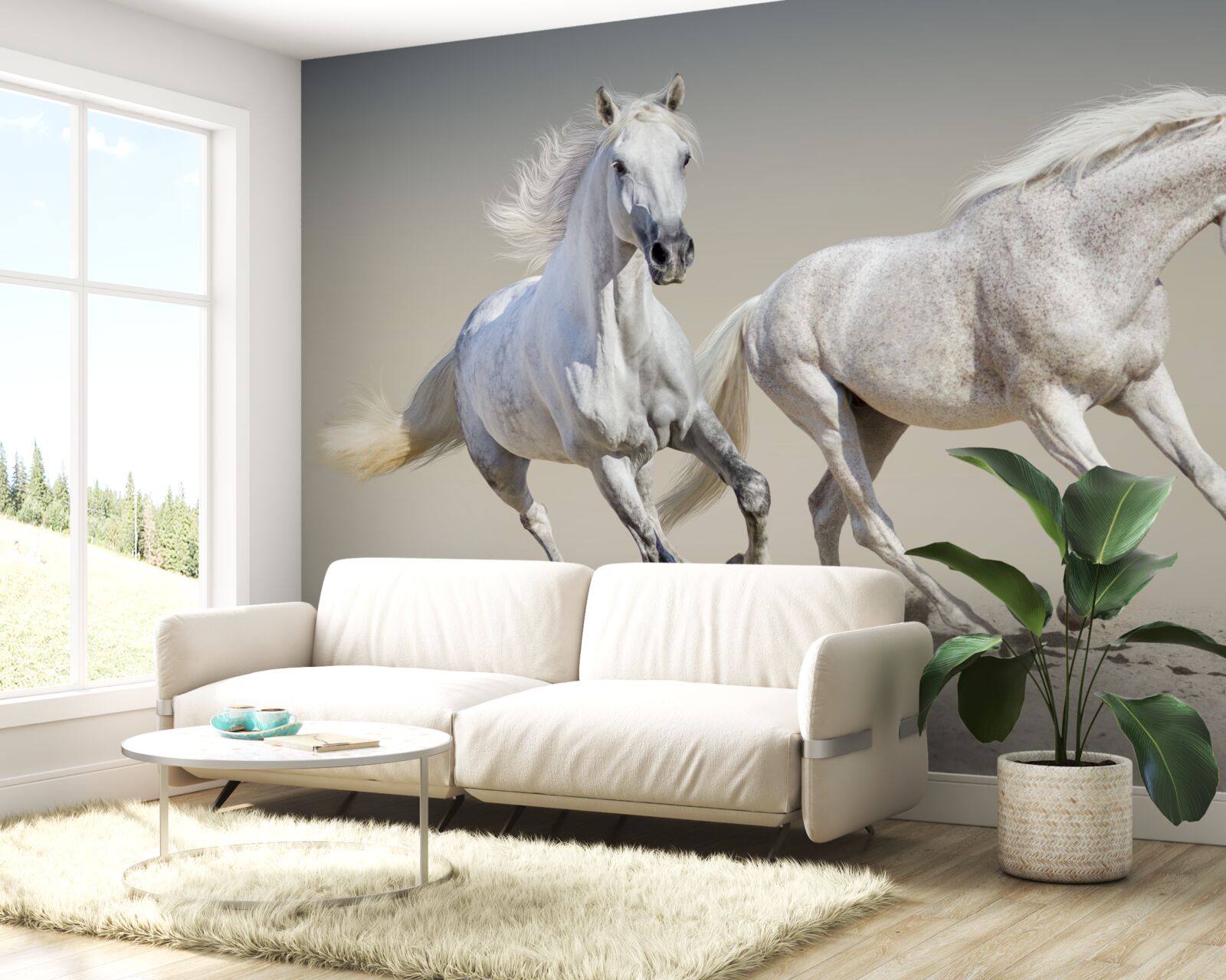 Fotobehang twee lichtgewicht hengsten racen over een zandvlakte