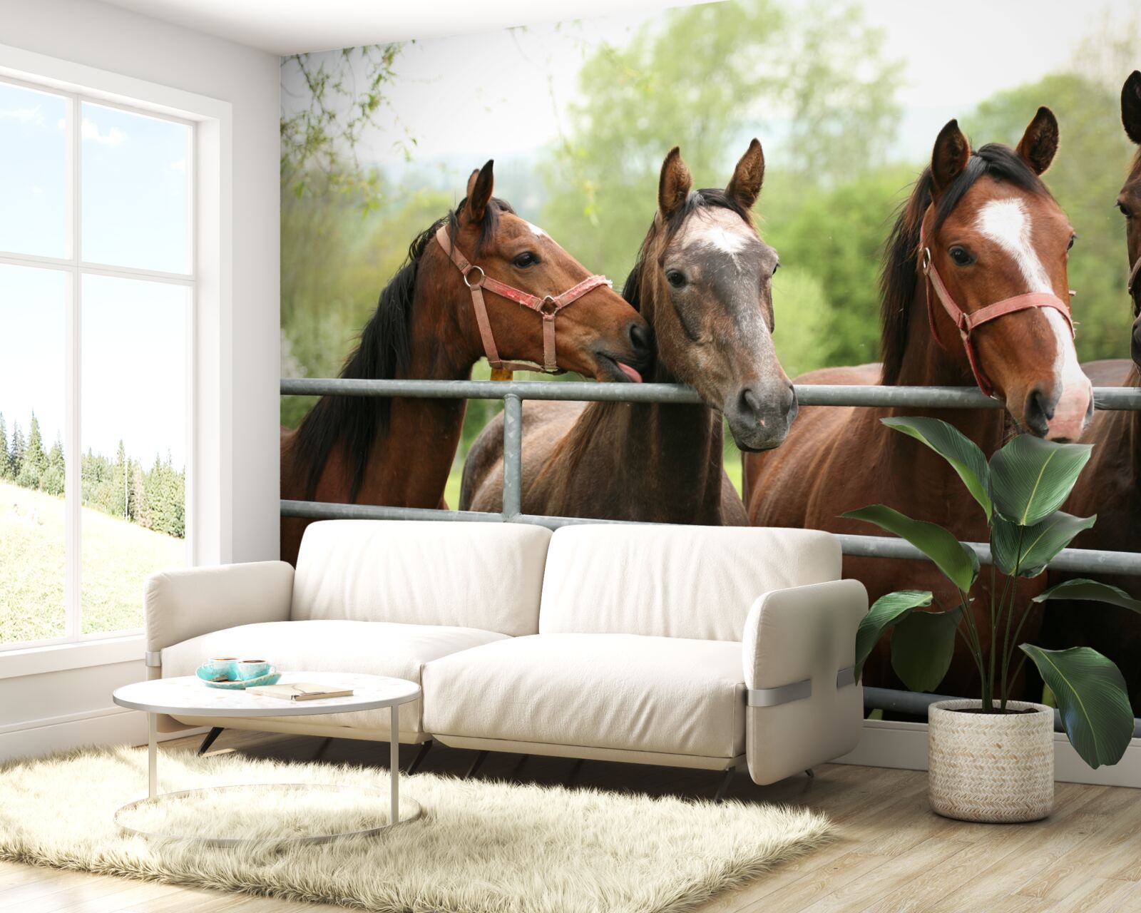 Fotobehang er staan vier bruine paarden in de omheining