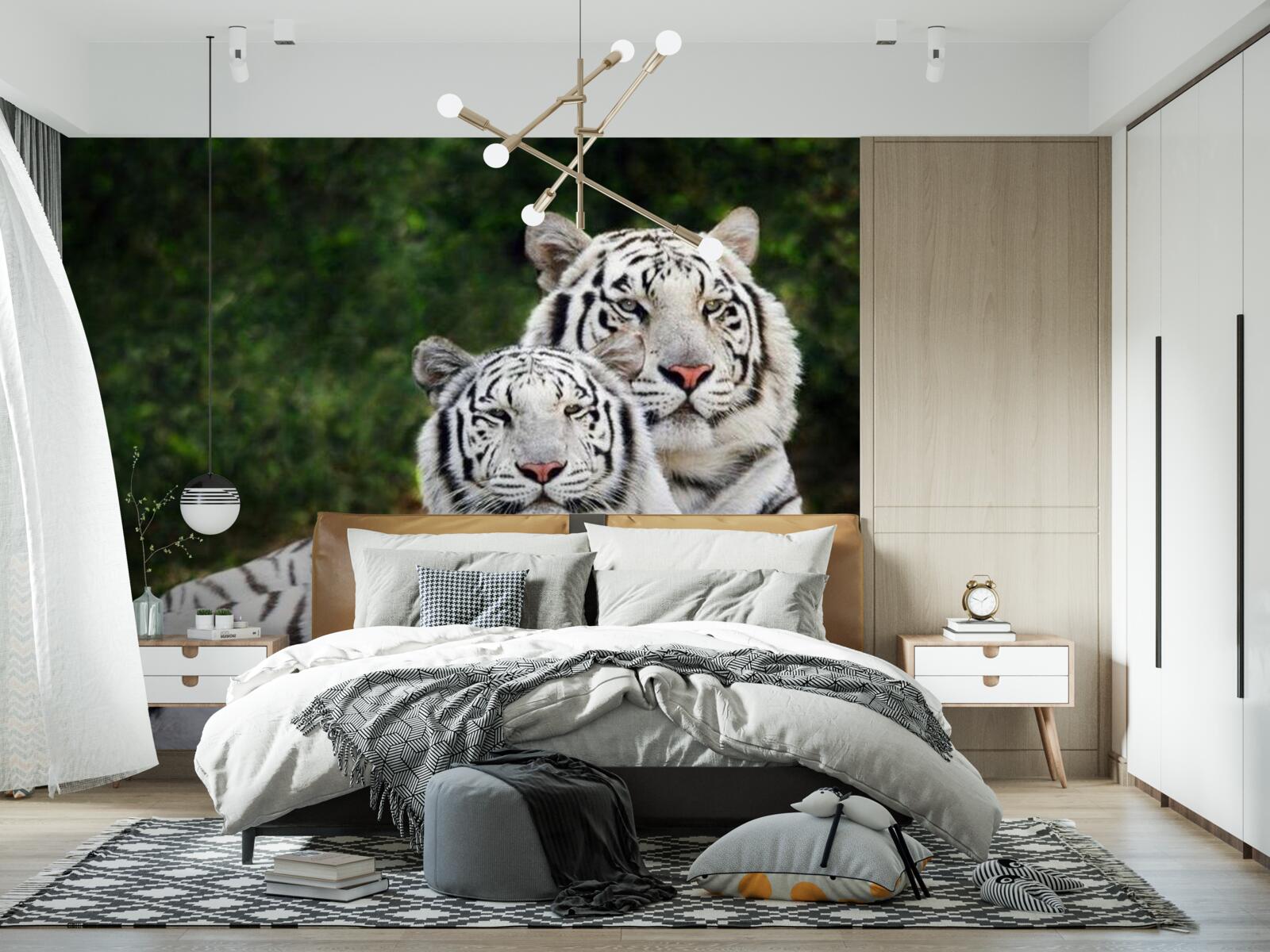 Fotobehang in het bos leven twee witte tijgers, getrouwd met