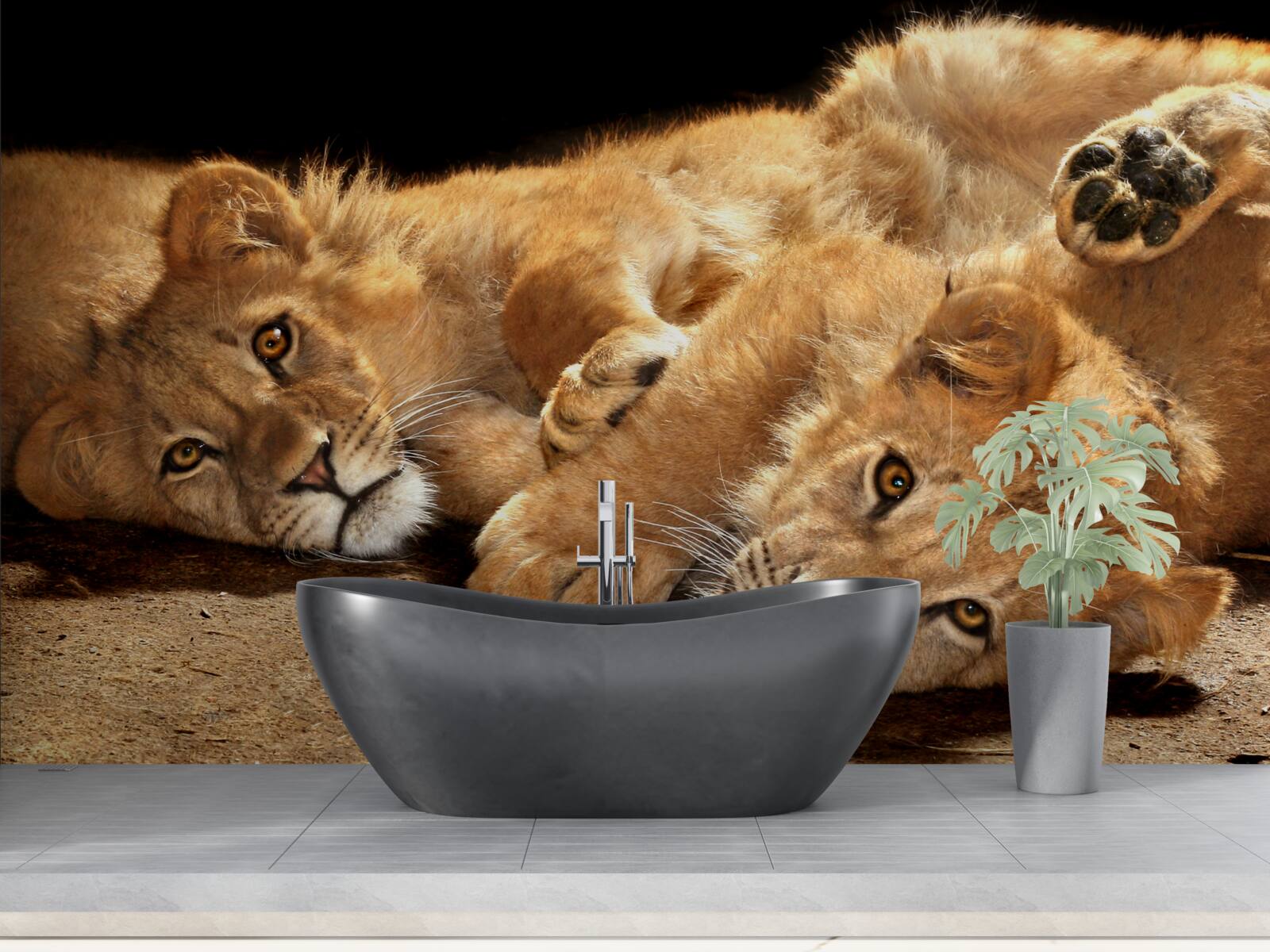 Fotobehang jonge leeuwen spelen op de grond