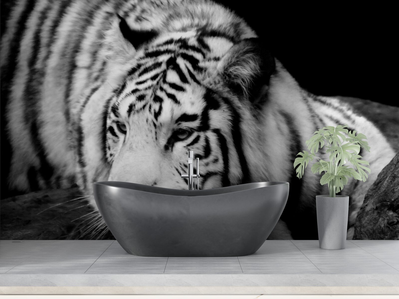 Fotobehang schattige zwart-witte tijger