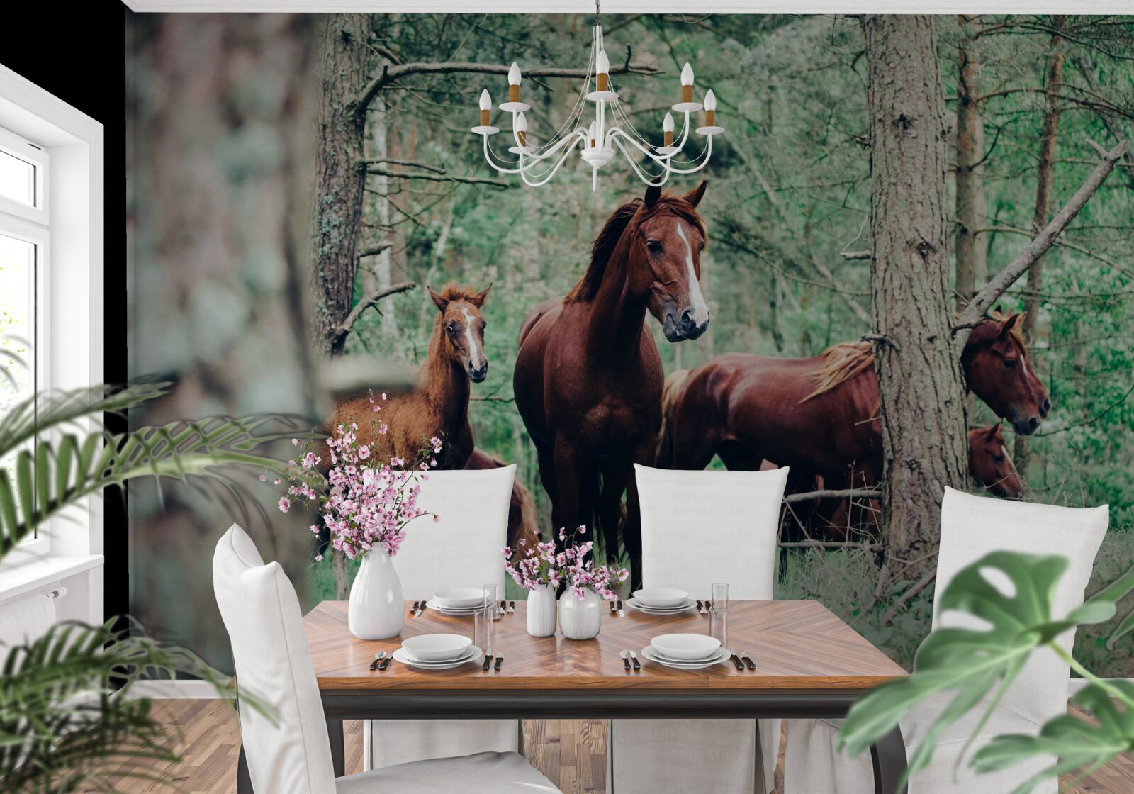 Fotobehang paarden lopen in het bos in de lente