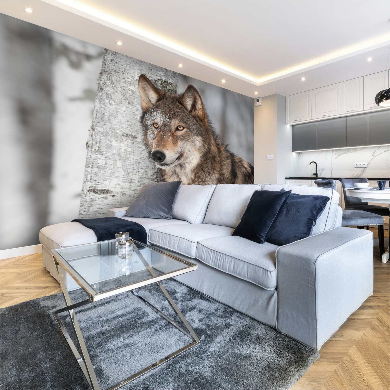 Fotobehang kaneelkleurige wolf in een hinderlaag naast een berkenboom