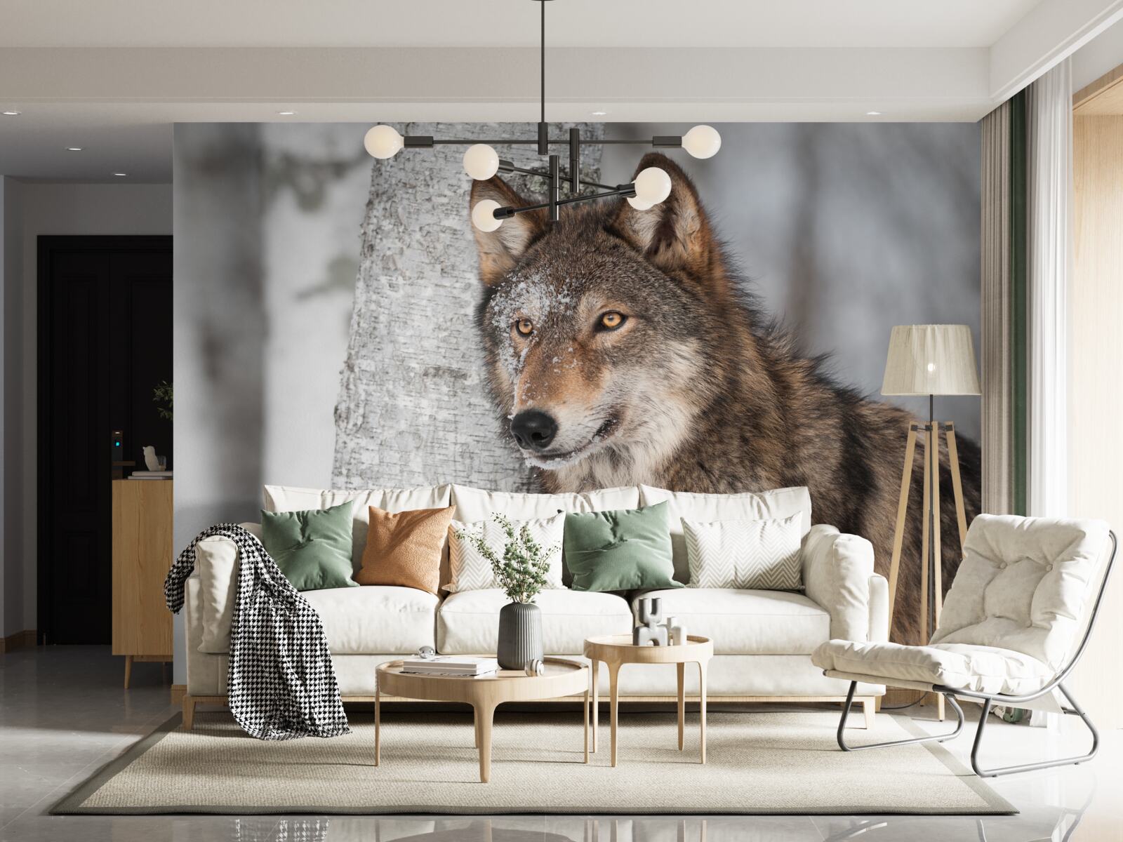 Fotobehang kaneelkleurige wolf in een hinderlaag naast een berkenboom