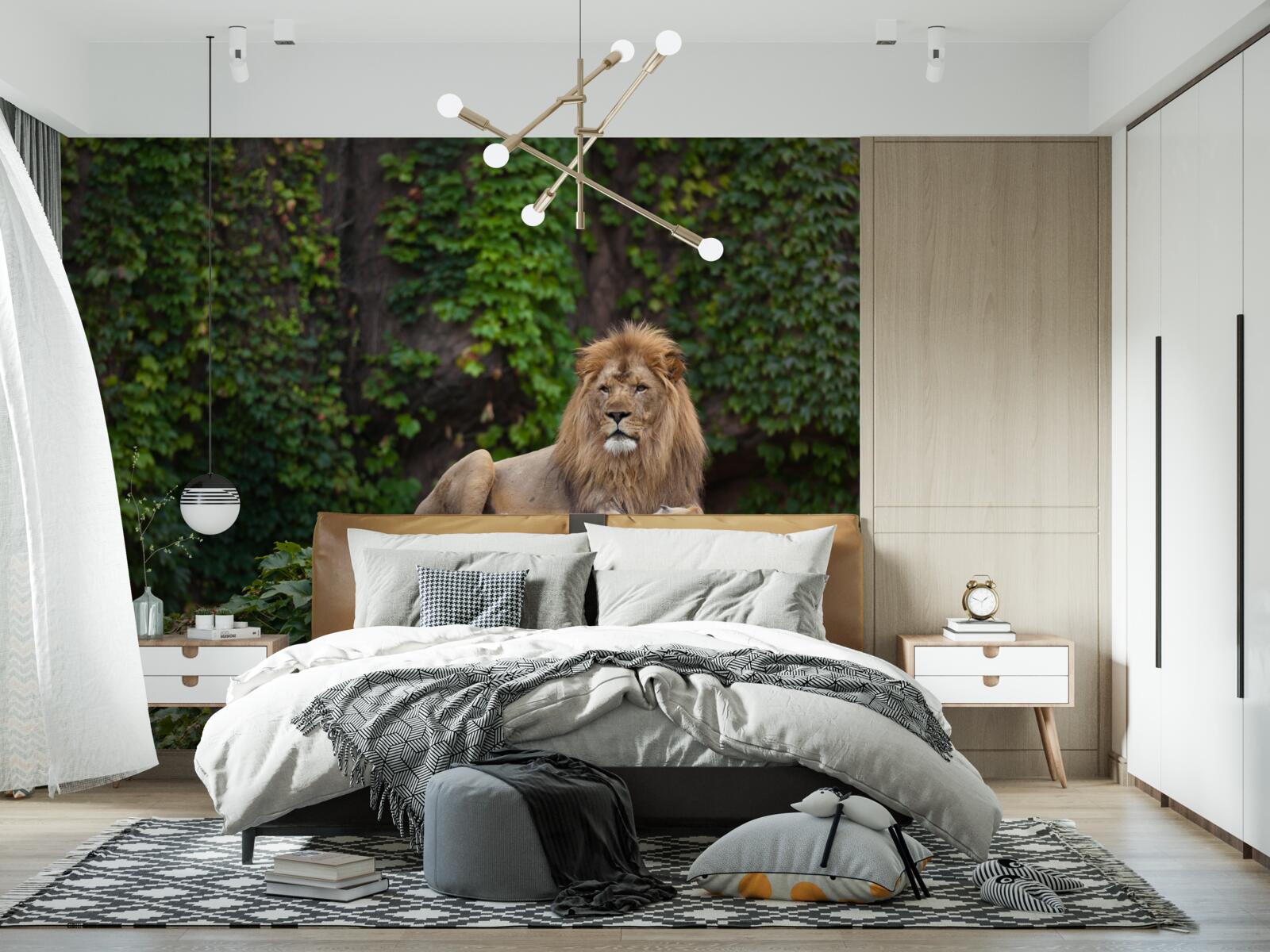 Fotobehang majestueuze leeuw rust op een met mos bedekte steen