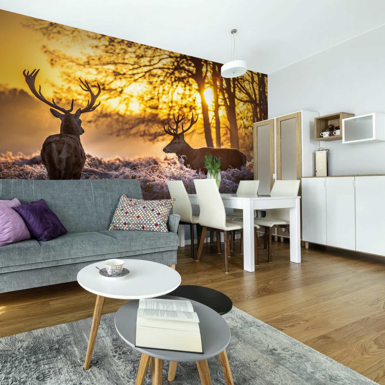 Fotobehang zonsondergang wordt vergezeld door volwassen herten