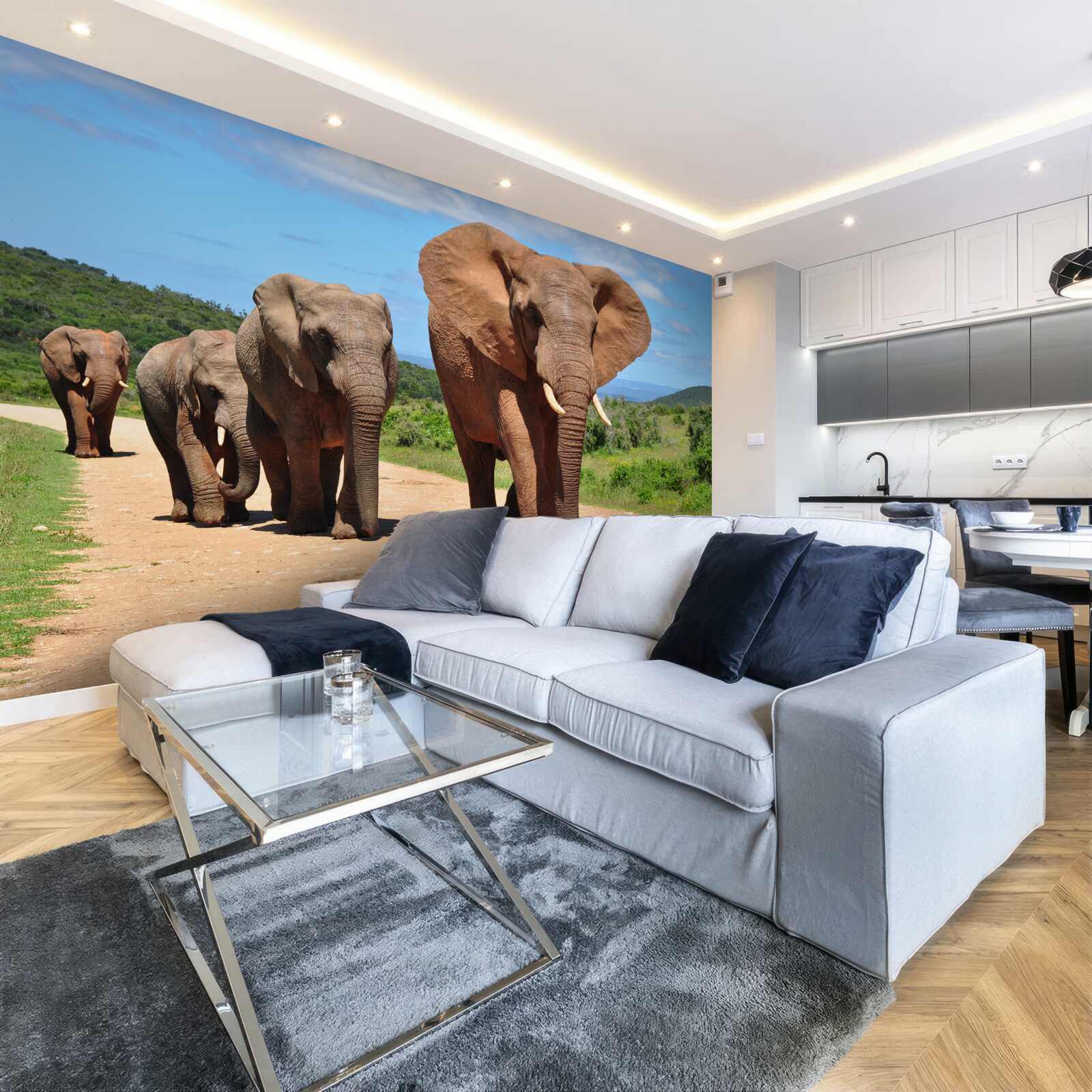 Fotobehang Een groep olifanten keert terug naar huis over een zanderig terrein