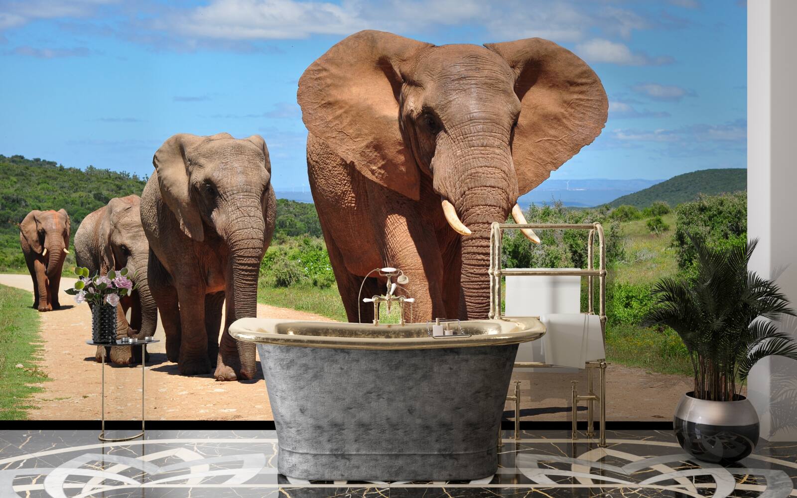 Fotobehang Een groep olifanten keert terug naar huis over een zanderig terrein