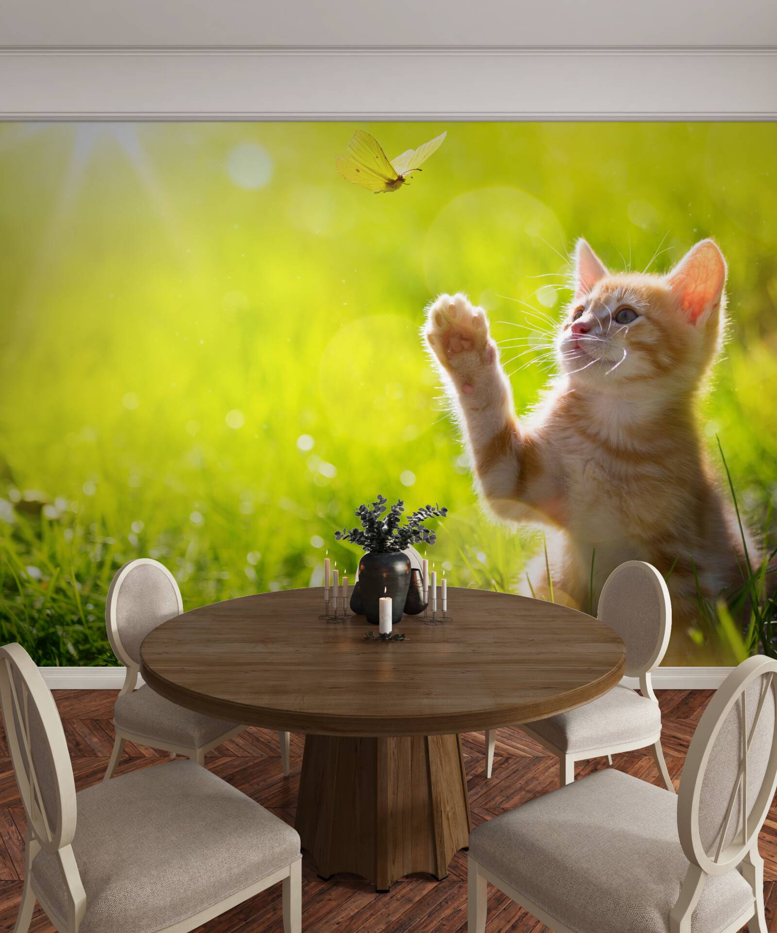 Fotobehang een kleine kat speelt met een vlinder in een groen veld