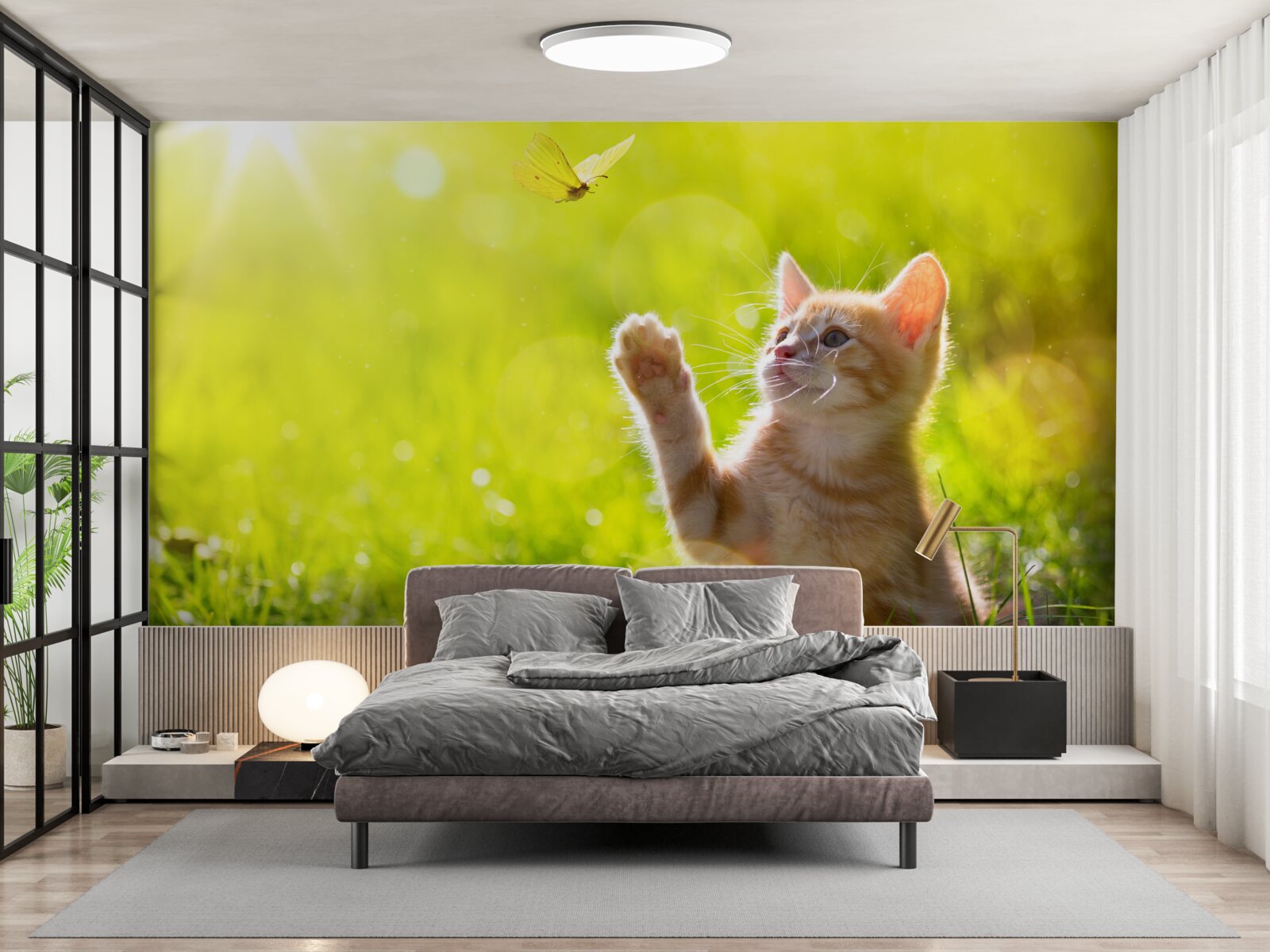 Fotobehang een kleine kat speelt met een vlinder in een groen veld