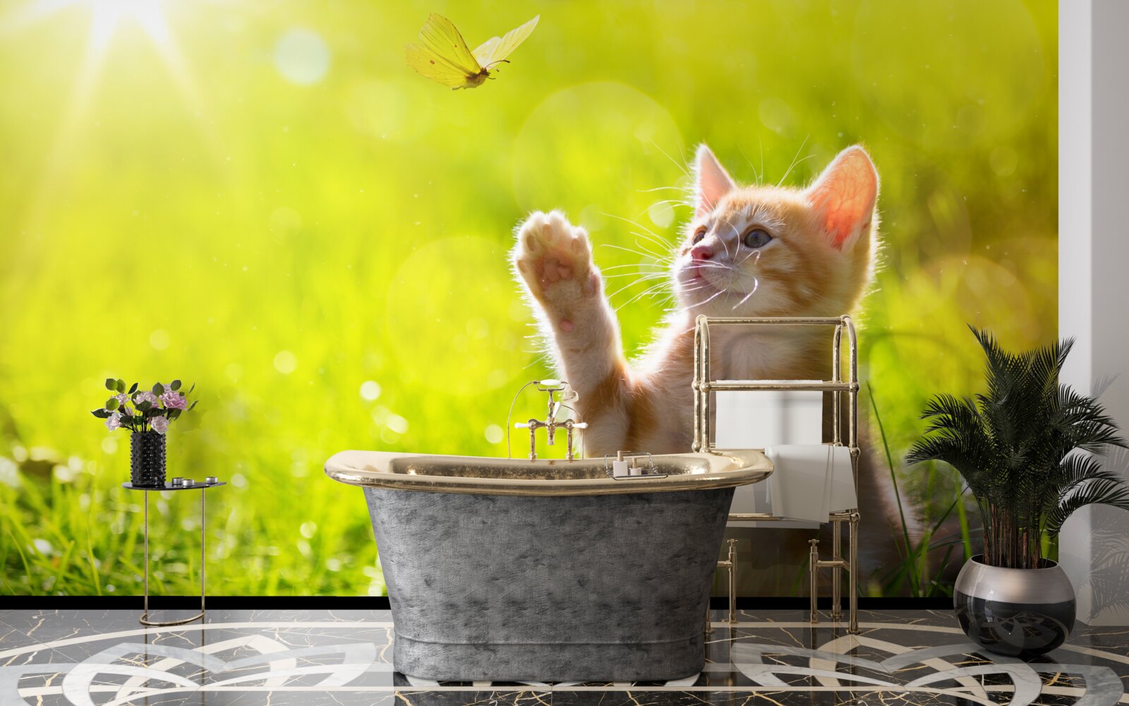 Fotobehang een kleine kat speelt met een vlinder in een groen veld