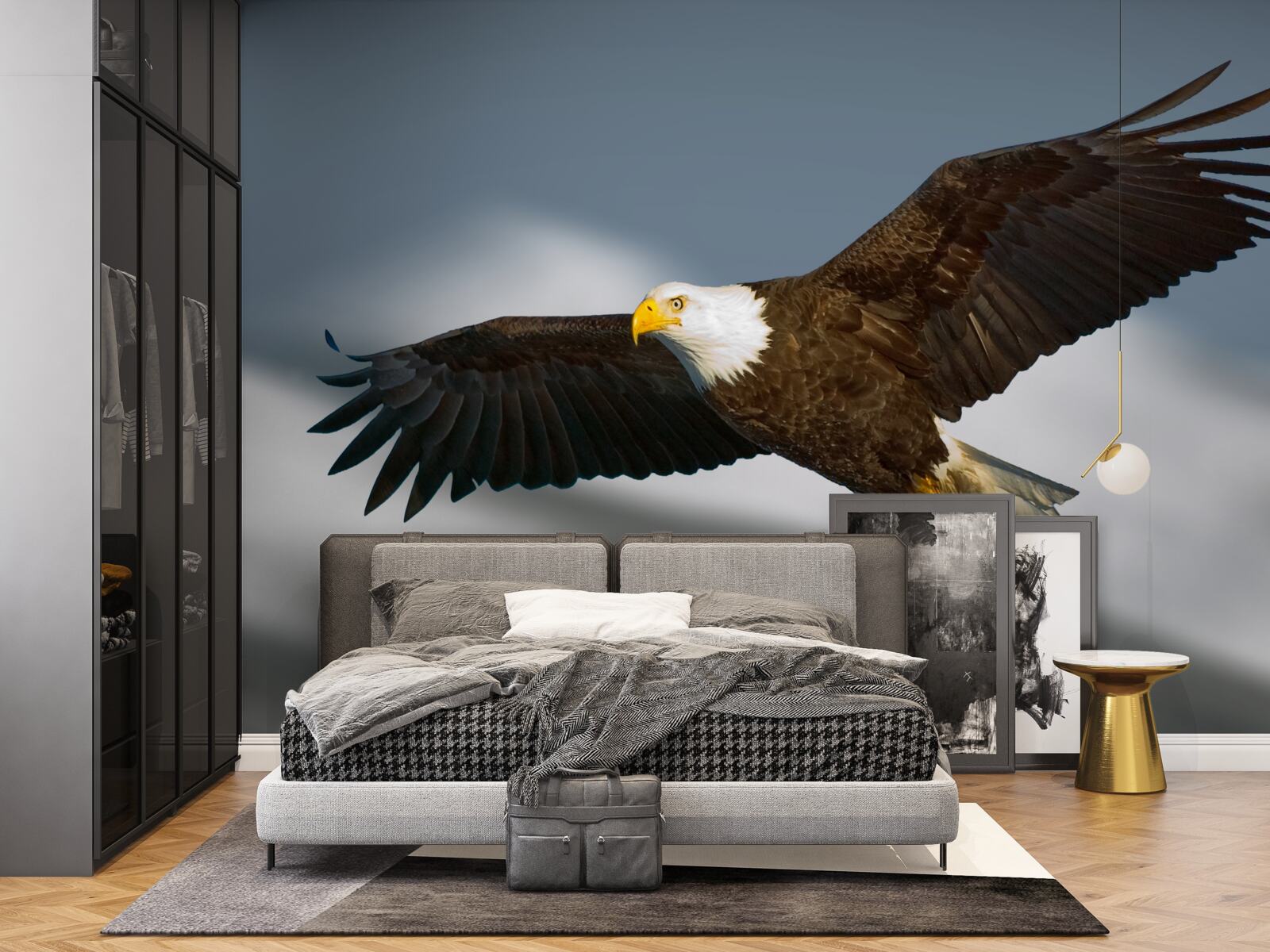 Fotobehang een zeearend zweeft in de lucht