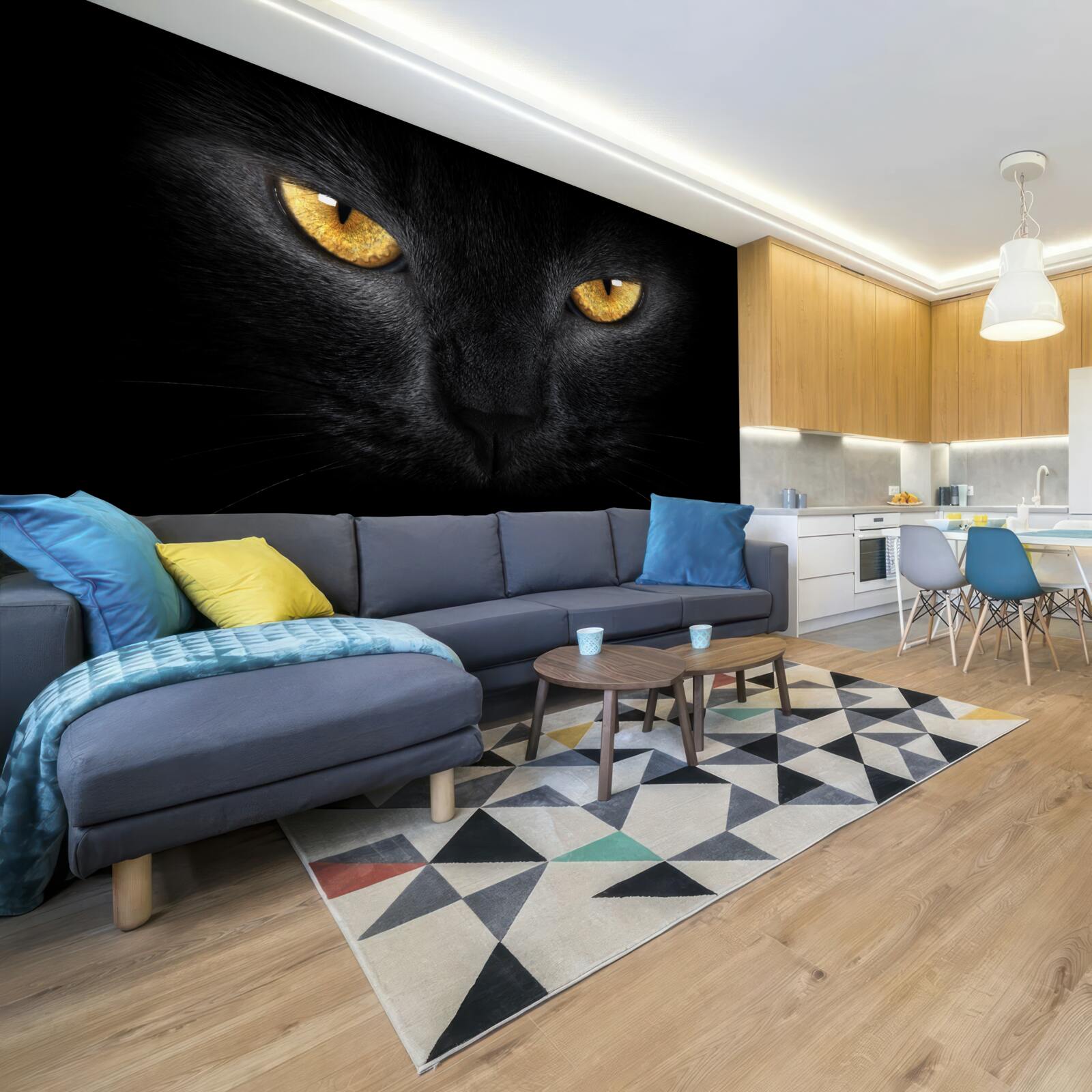 Fotobehang de doordringende blik van een zwarte kat