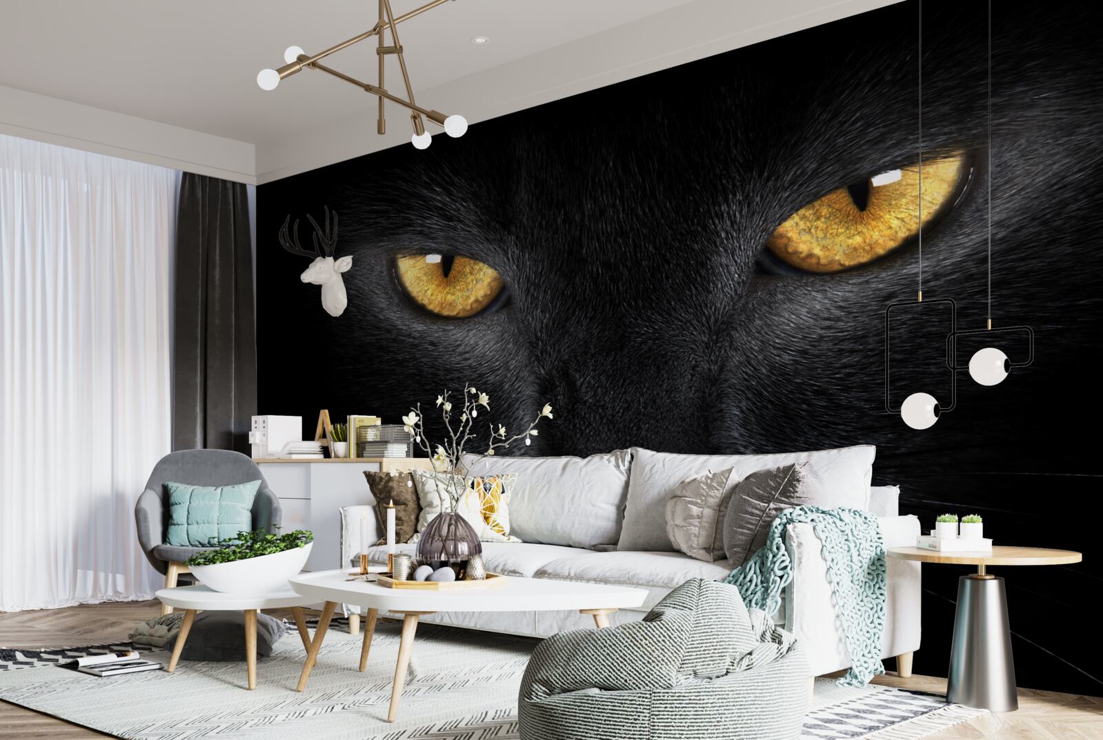 Fotobehang de doordringende blik van een zwarte kat