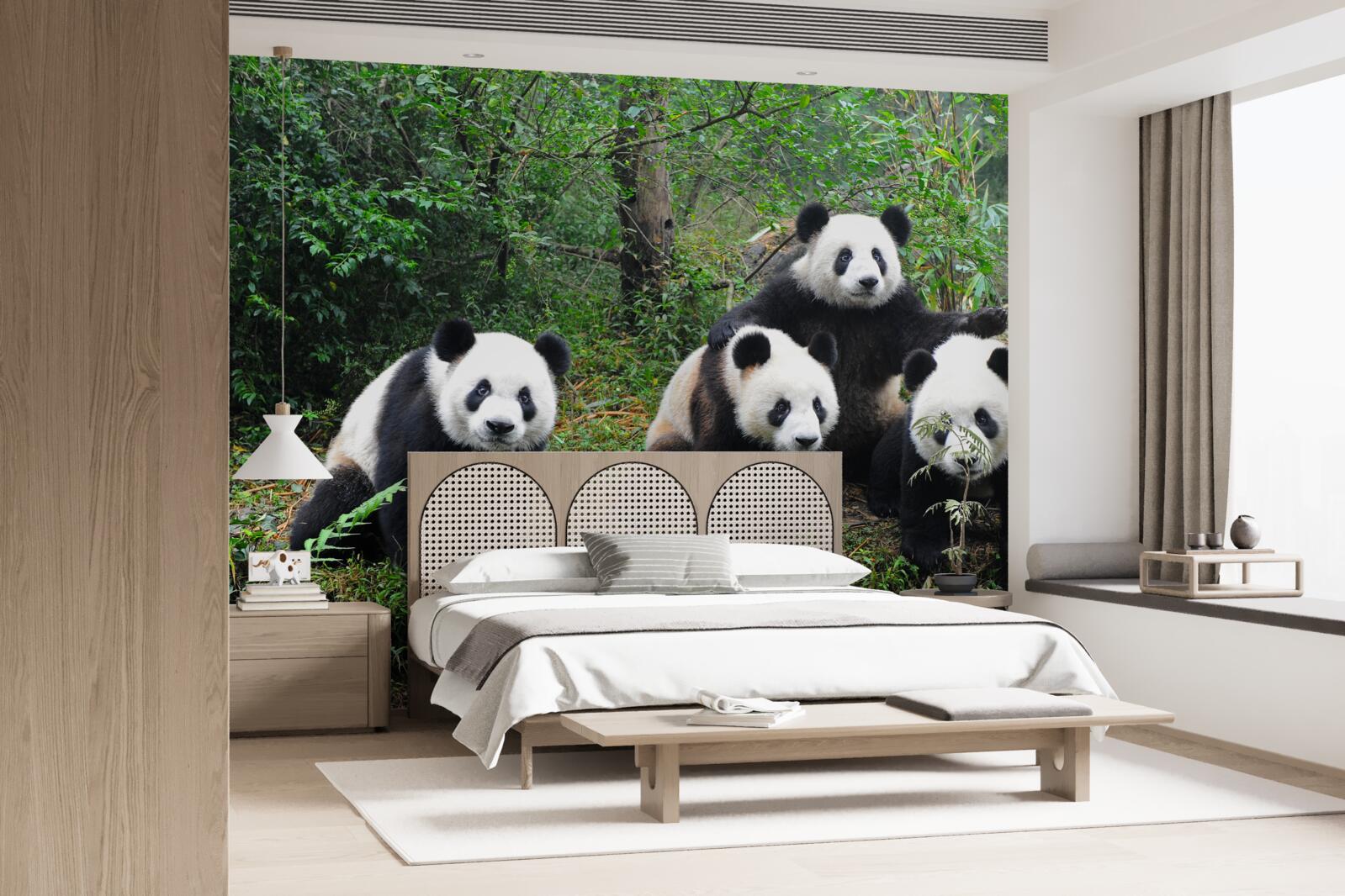 Fotobehang een rustgevende familie van schattige panda's