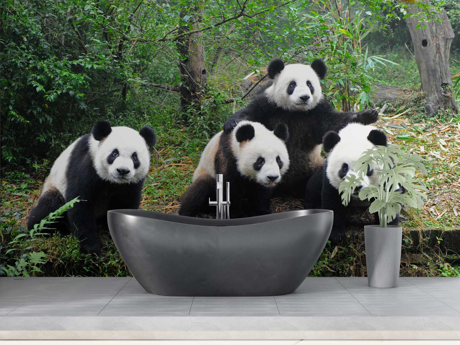 Fotobehang een rustgevende familie van schattige panda's