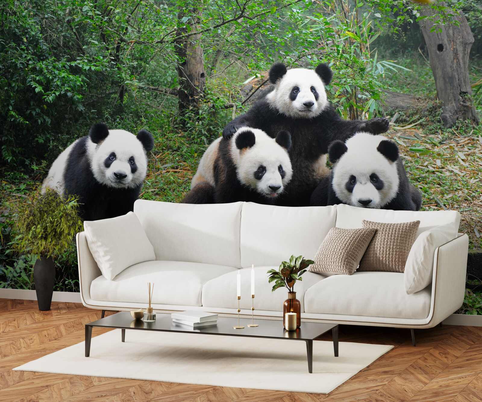 Fotobehang een rustgevende familie van schattige panda's