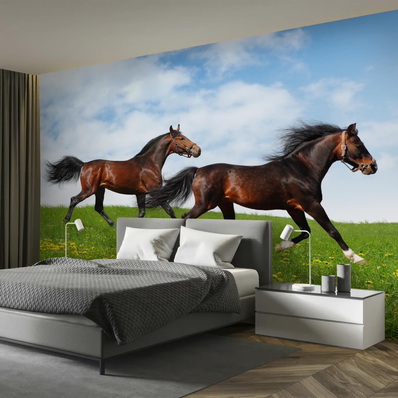 Fotobehang vroege paarden die door een open plek rennen