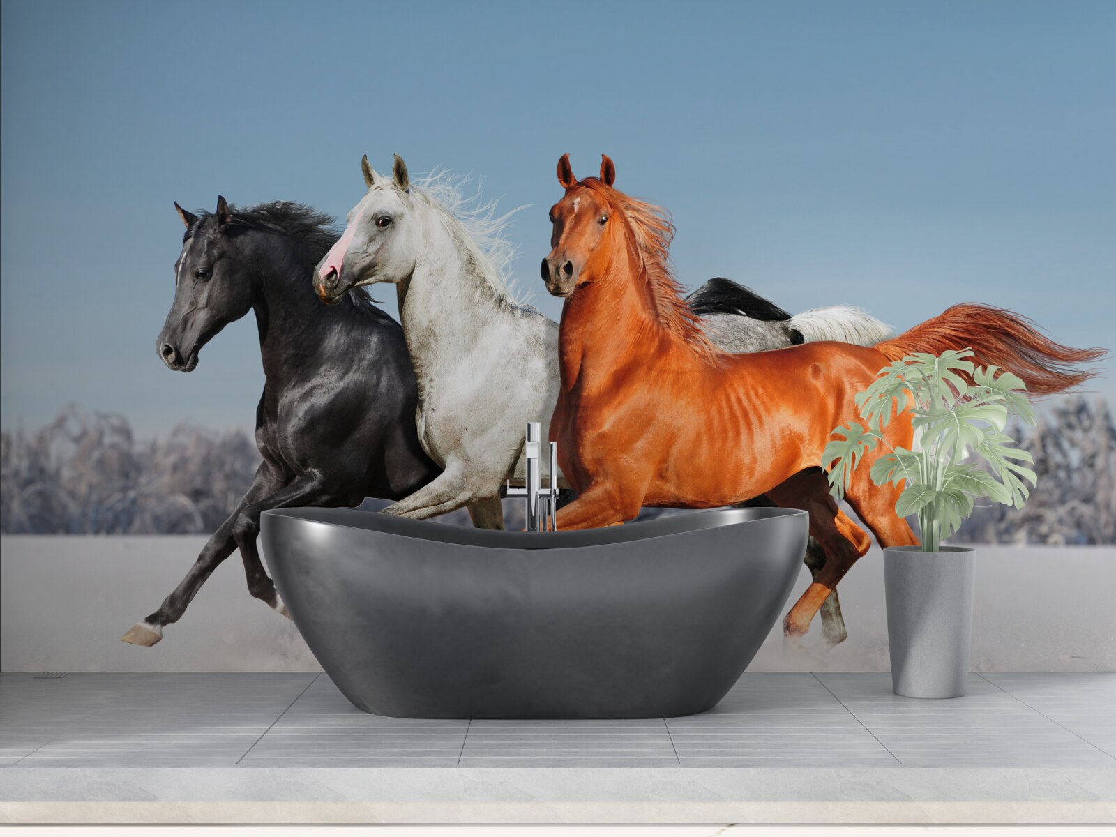 Fotobehang drie paarden in galop op besneeuwde grond