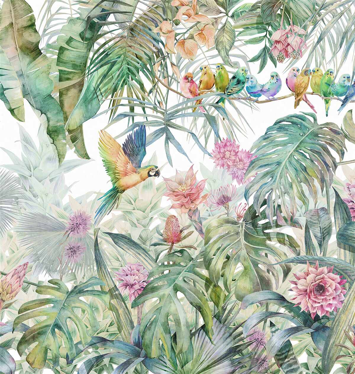 Fotobehang een papegaaienfamilie in het regenwoud