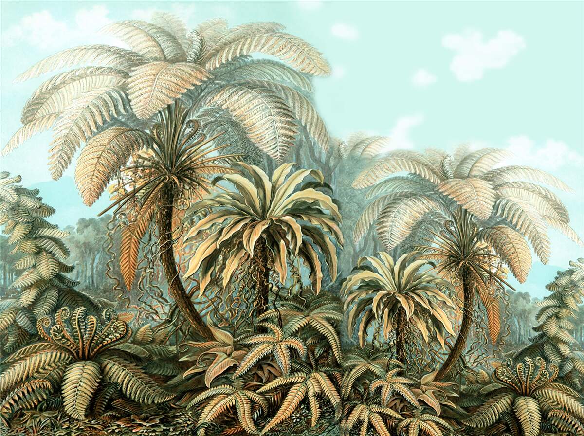 Fotobehang tropische bomen op een zalig eiland