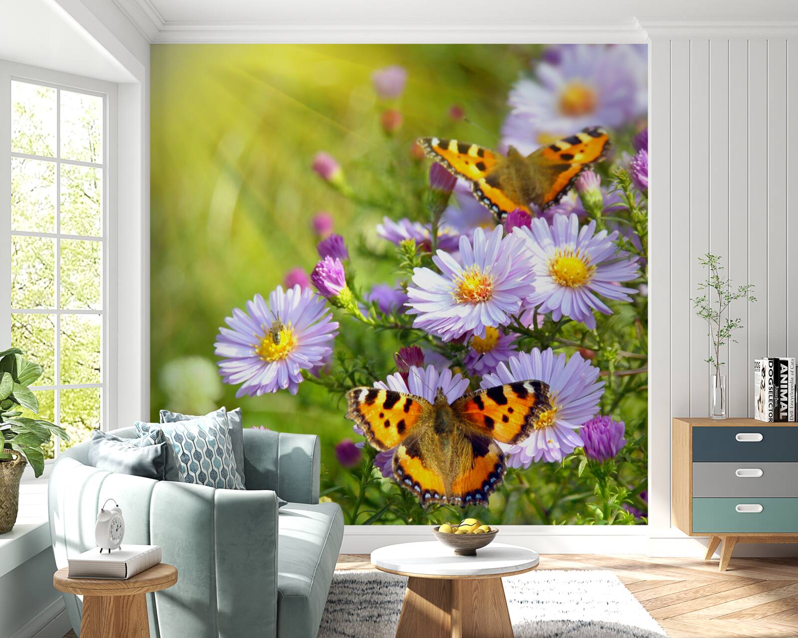 Fotobehang Een weide bezaaid met blauwe margrieten en vlinders