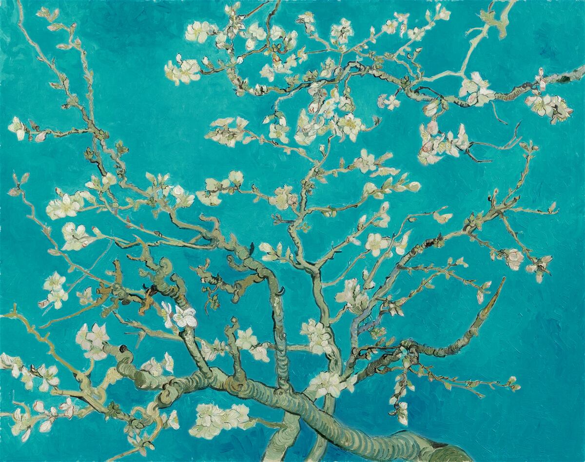 Fotobehang bloeiende amandeltakken