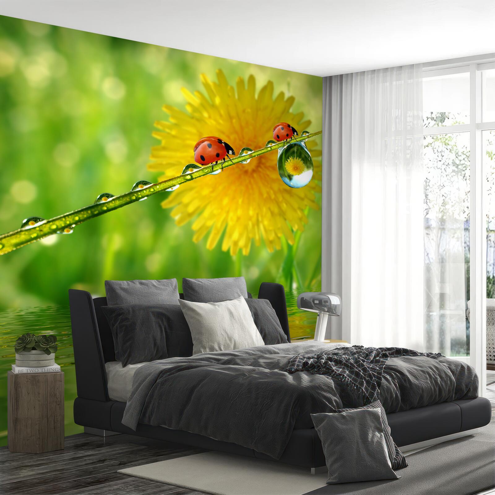 Fotobehang lieveheersbeestjes na een stortbui