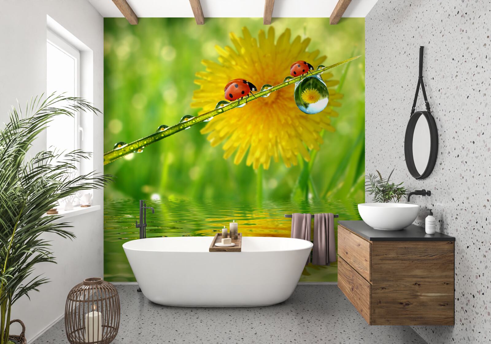 Fotobehang lieveheersbeestjes na een stortbui