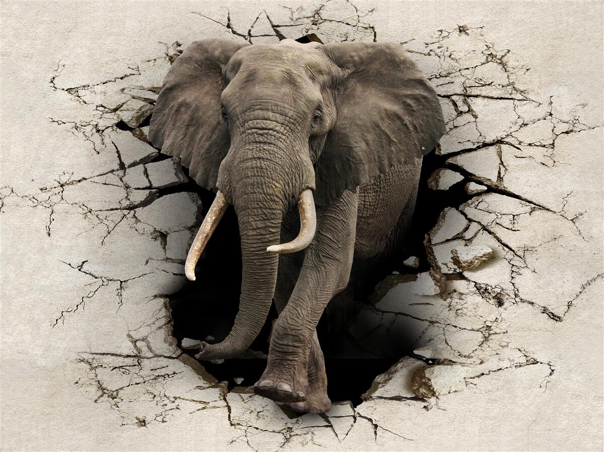 Fotobehang olifant gaat door een obstakel
