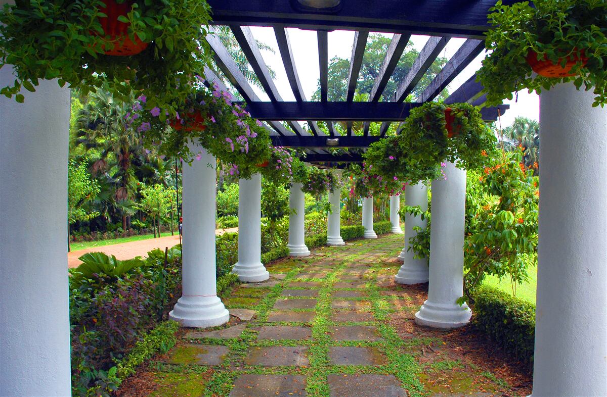 Fotobehang witte betonnen kolommen in de tuin