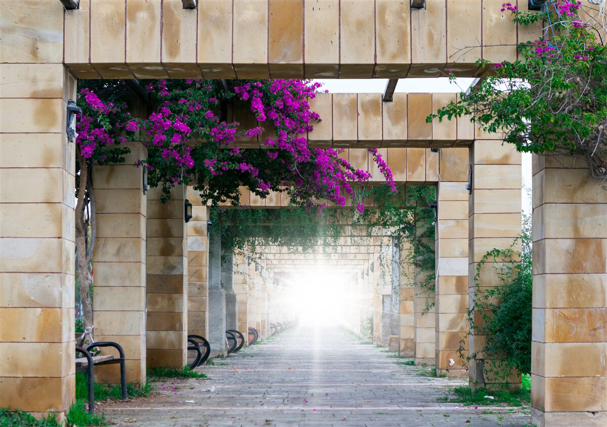 Fotobehang rechthoekige boog van steen, versierd met bloemen