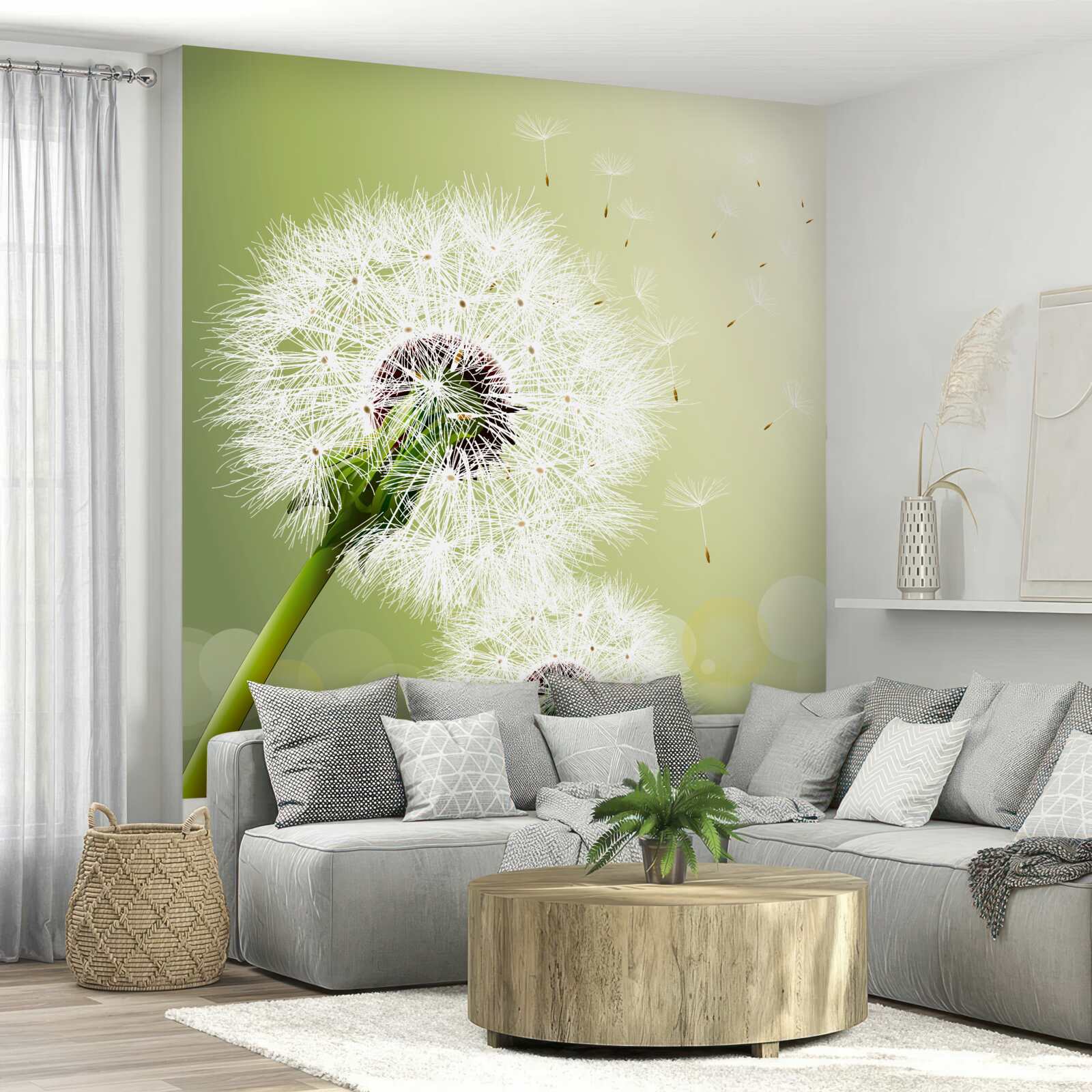 Fotobehang witte paardenbloem vliegend in de lucht