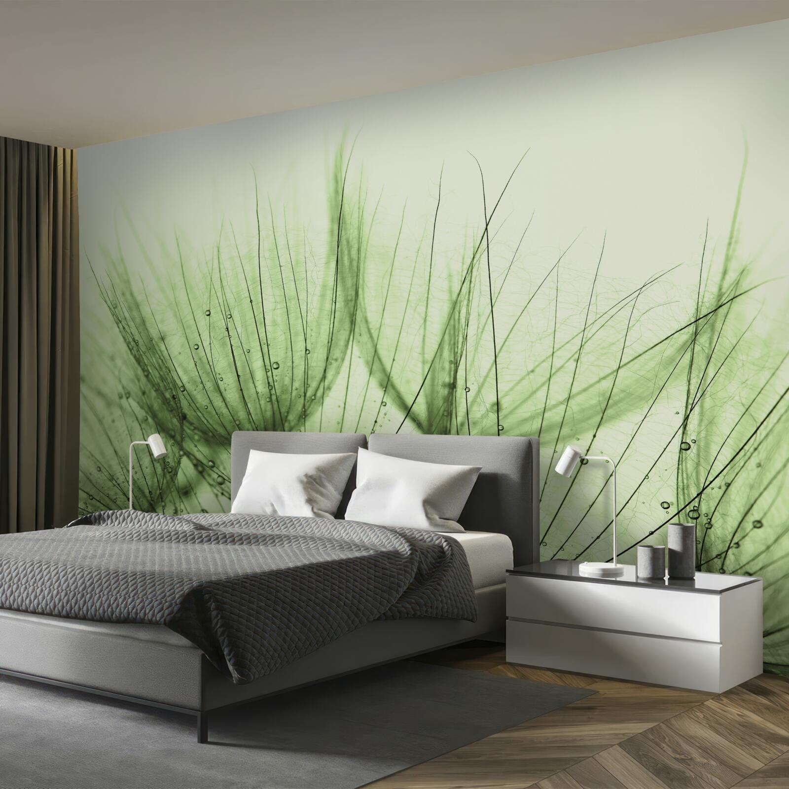 Fotobehang verzameling luchtige paardenbloemen