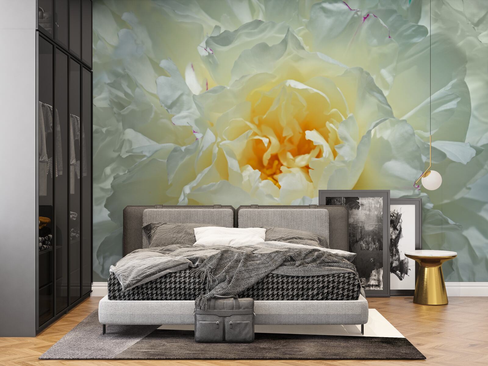 Fotobehang close-up van een witte pioen