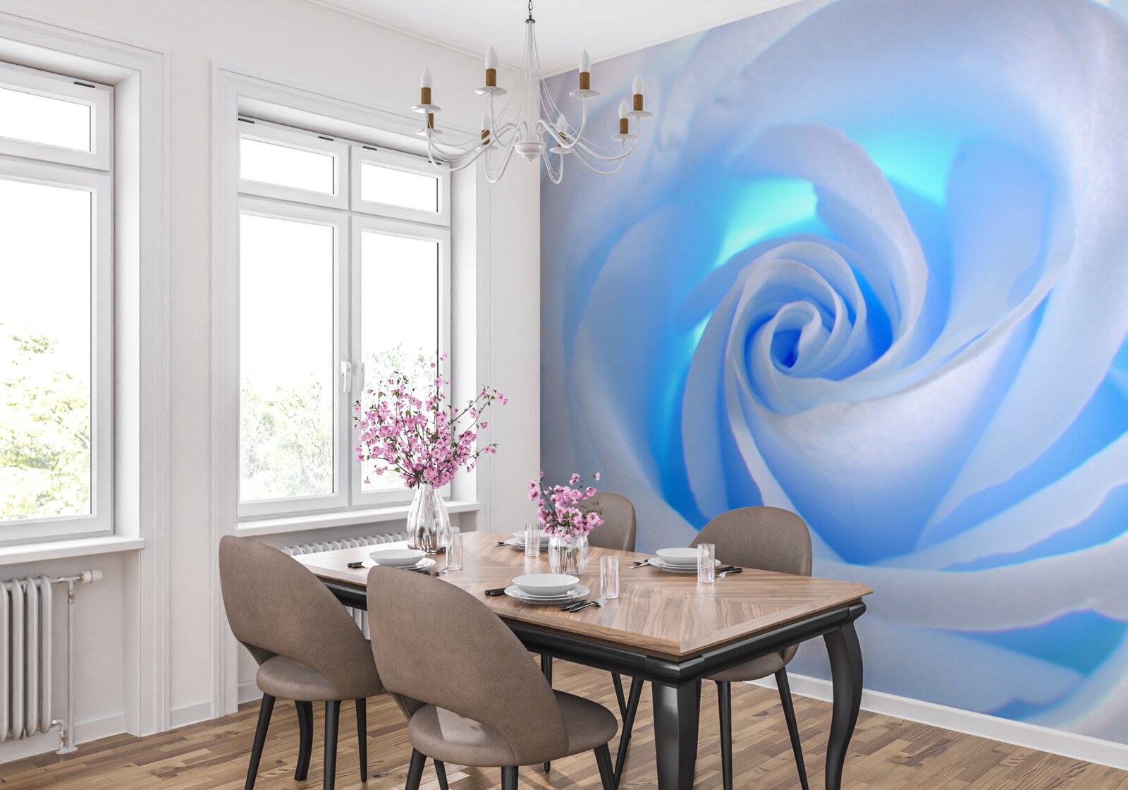 Fotobehang blauw licht dat door de tere witte roos schijnt