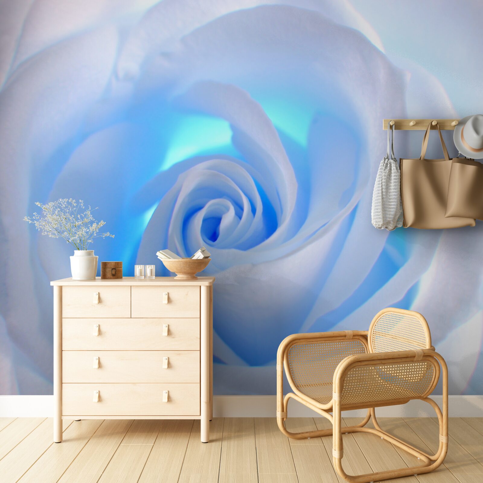 Fotobehang blauw licht dat door de tere witte roos schijnt