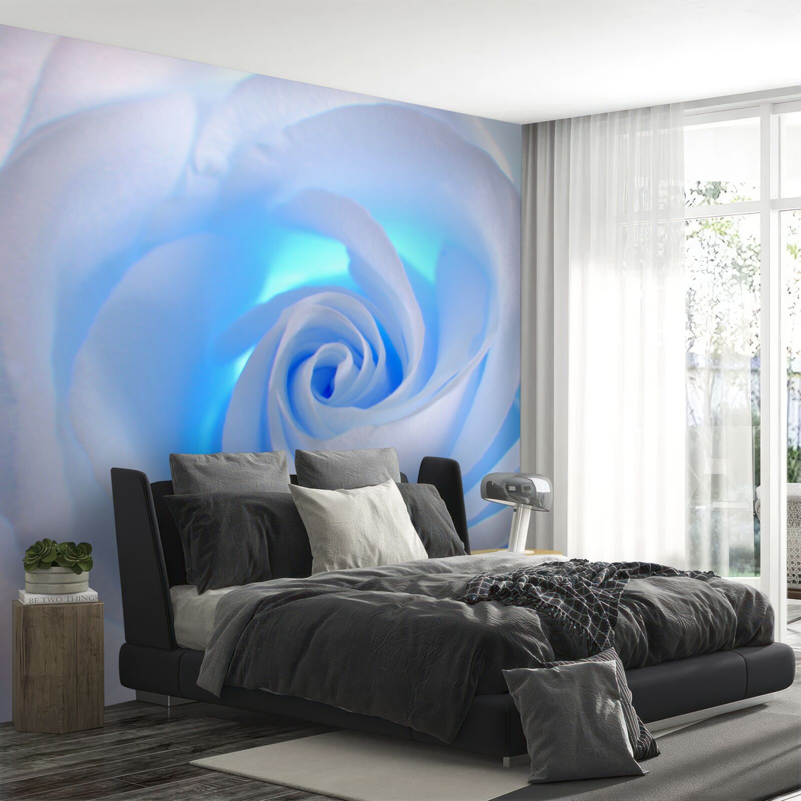 Fotobehang blauw licht dat door de tere witte roos schijnt