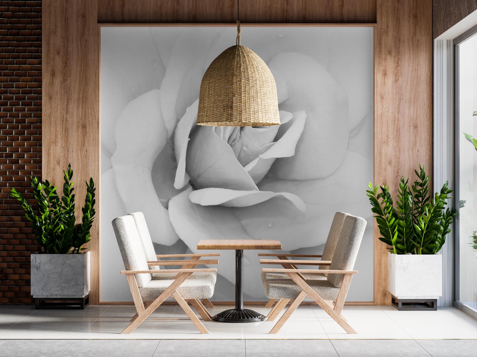 Fotobehang vergrote afbeelding van een witte roos