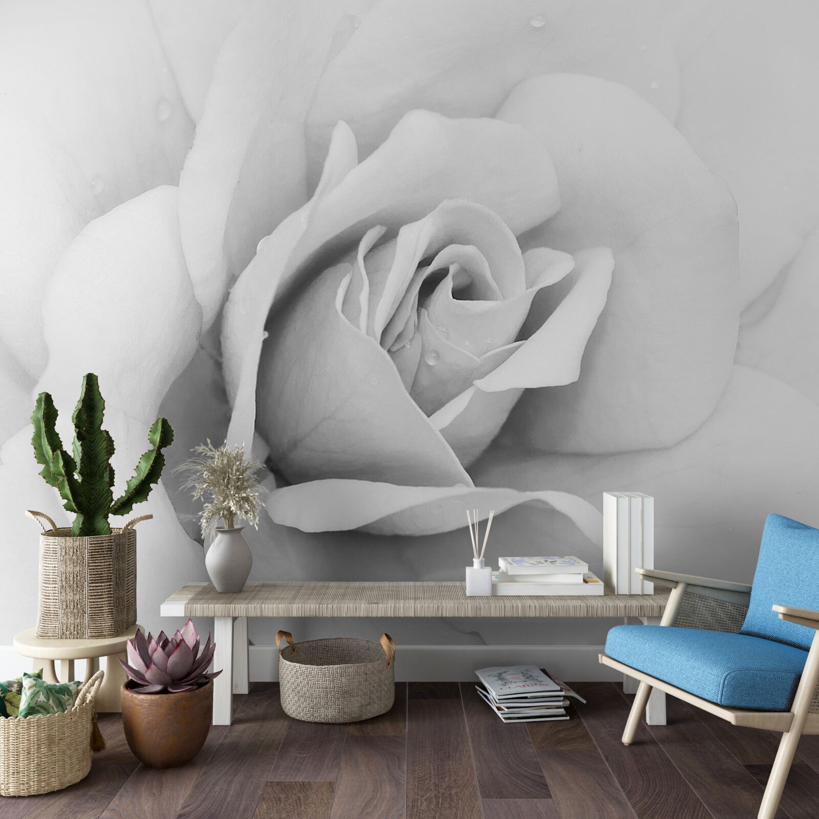 Fotobehang vergrote afbeelding van een witte roos