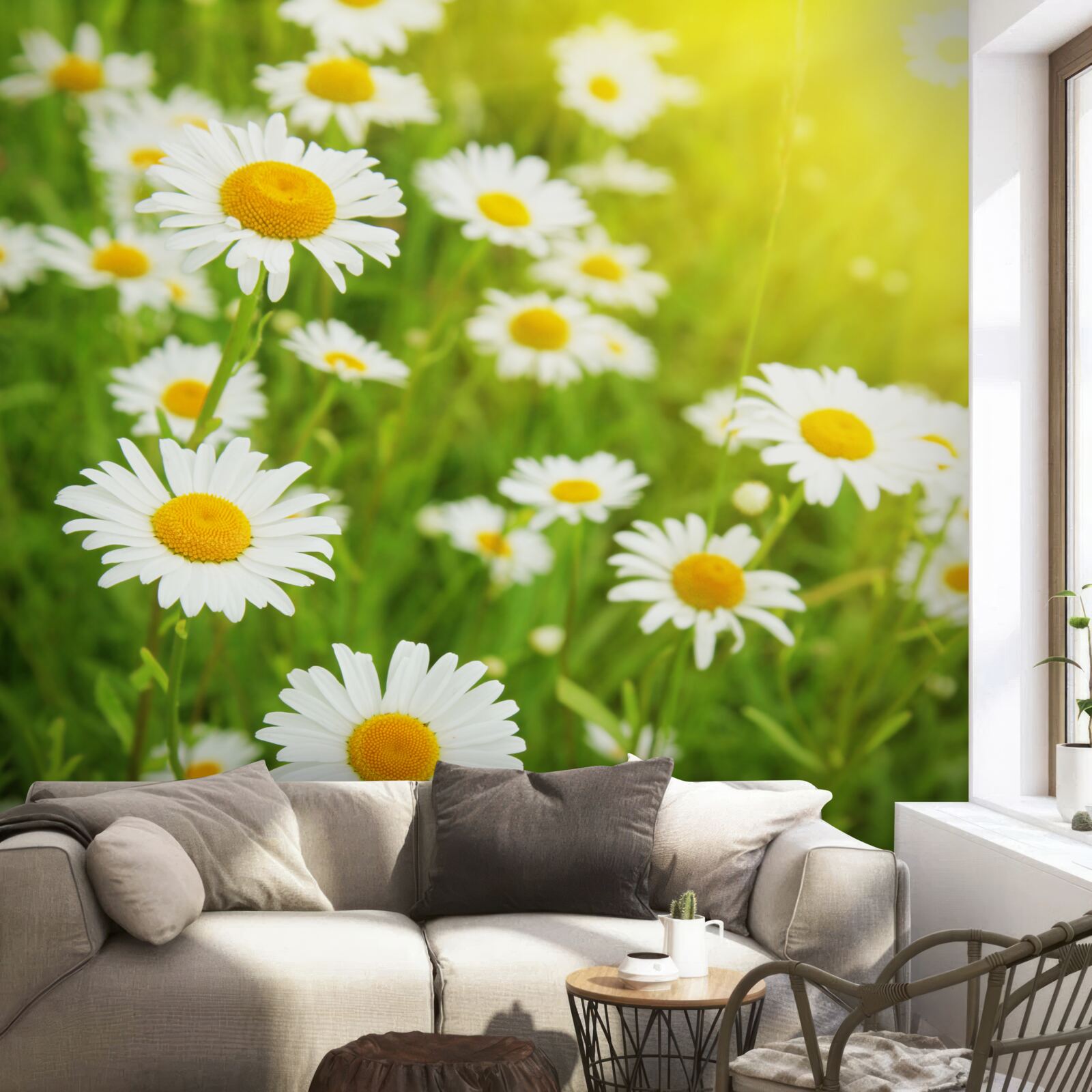 Fotobehang een veld met sneeuwwitte margrieten in het groen