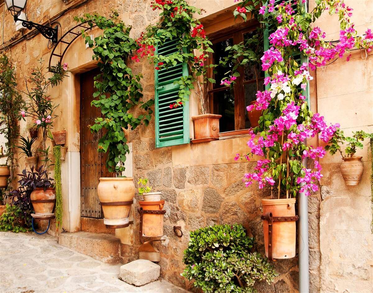 Fotobehang planten in bakken op een oude stoep
