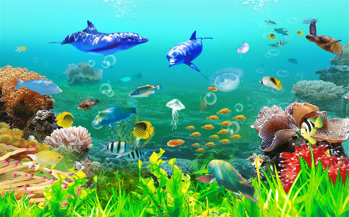 Fotobehang de diversiteit van het onderwaterrijk