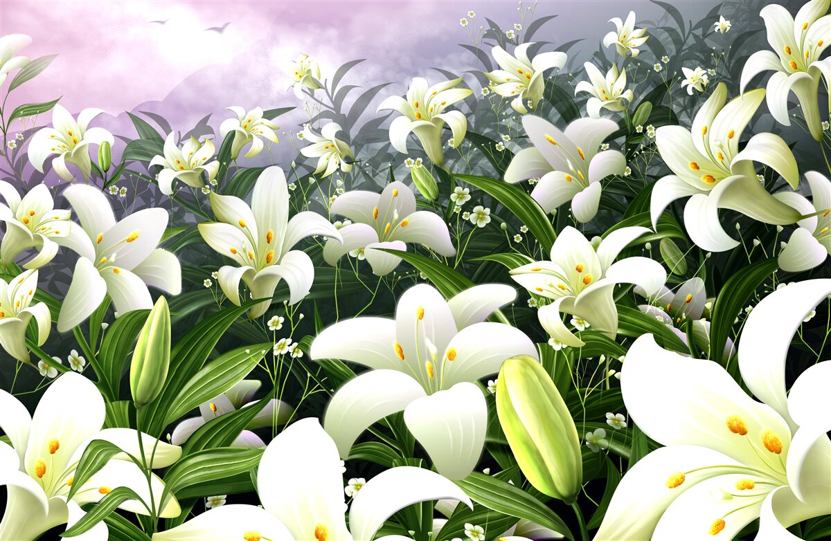 Fotobehang sneeuwwit tapijt van lelies