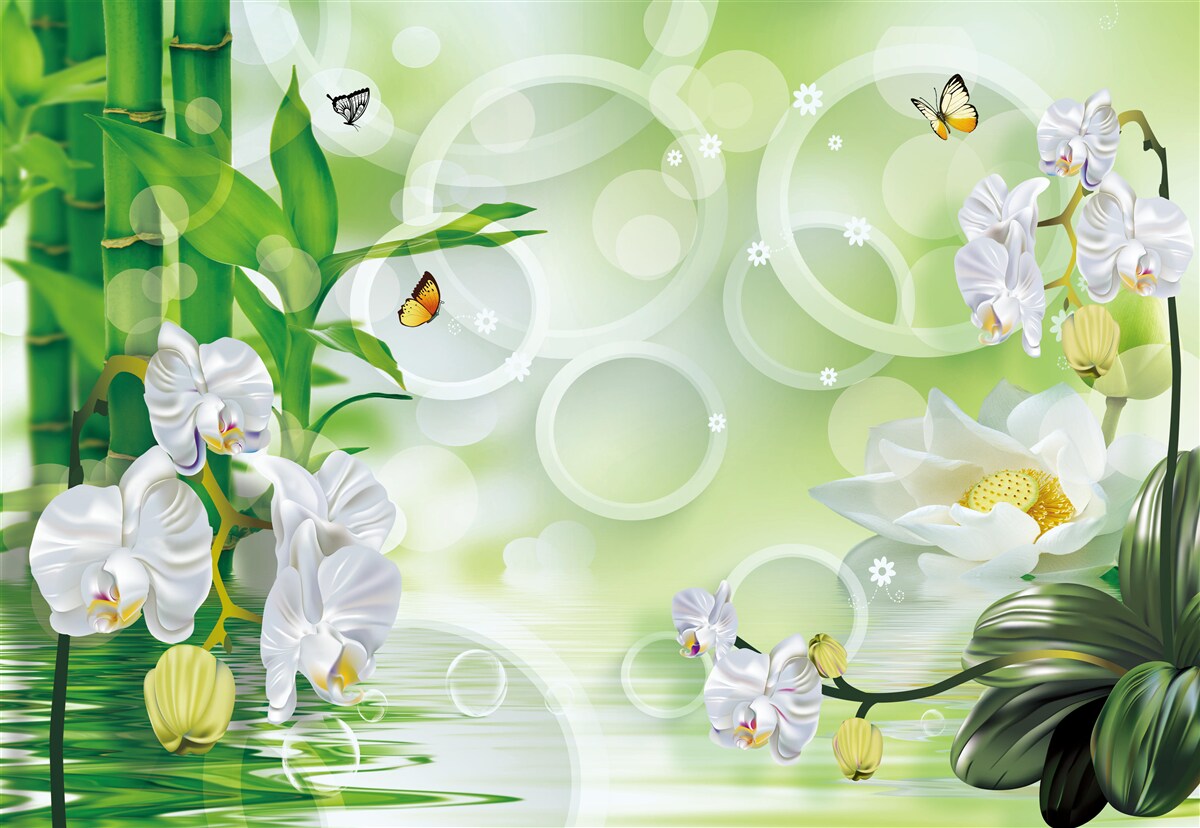 Fotobehang groene bamboe en bloemen worden weerspiegeld in het water, omringd door witte cirkels