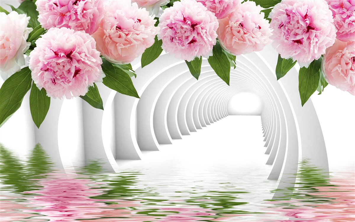 Fotobehang roze pioenrozen boven het wateroppervlak