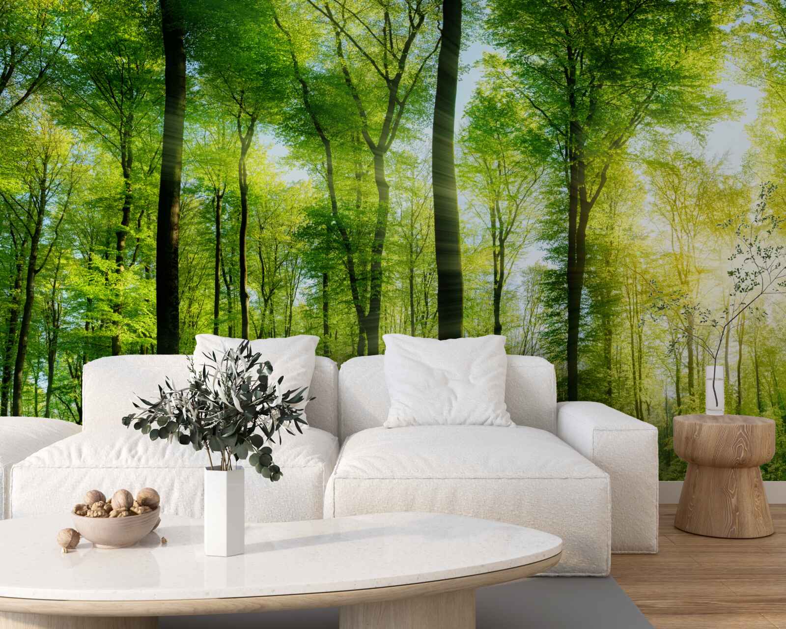 Fotobehang de zonnestralen dringen door de bladeren van de bomen