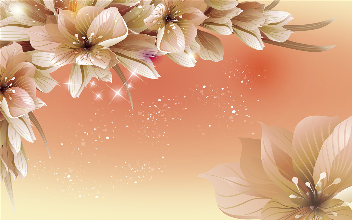 Fotobehang witte bloemen bloeiend op een tak tegen een zonsondergang achtergrond