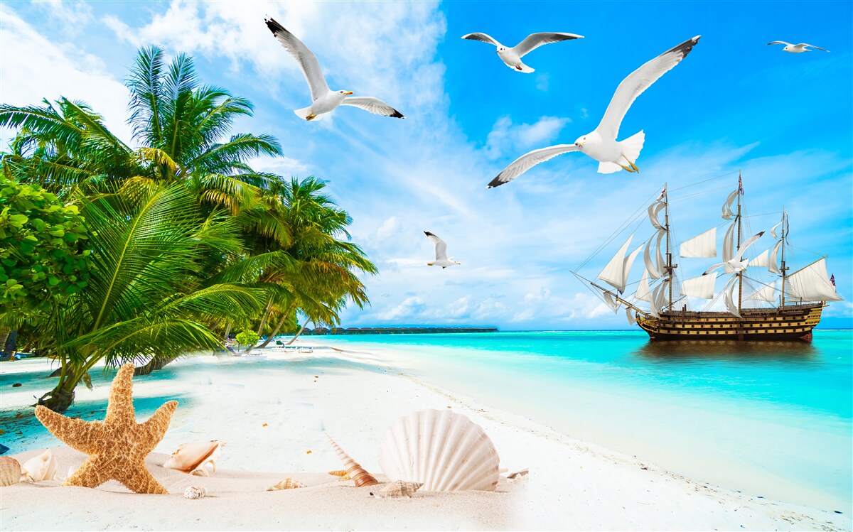 Fotobehang hei op een onbewoond eiland