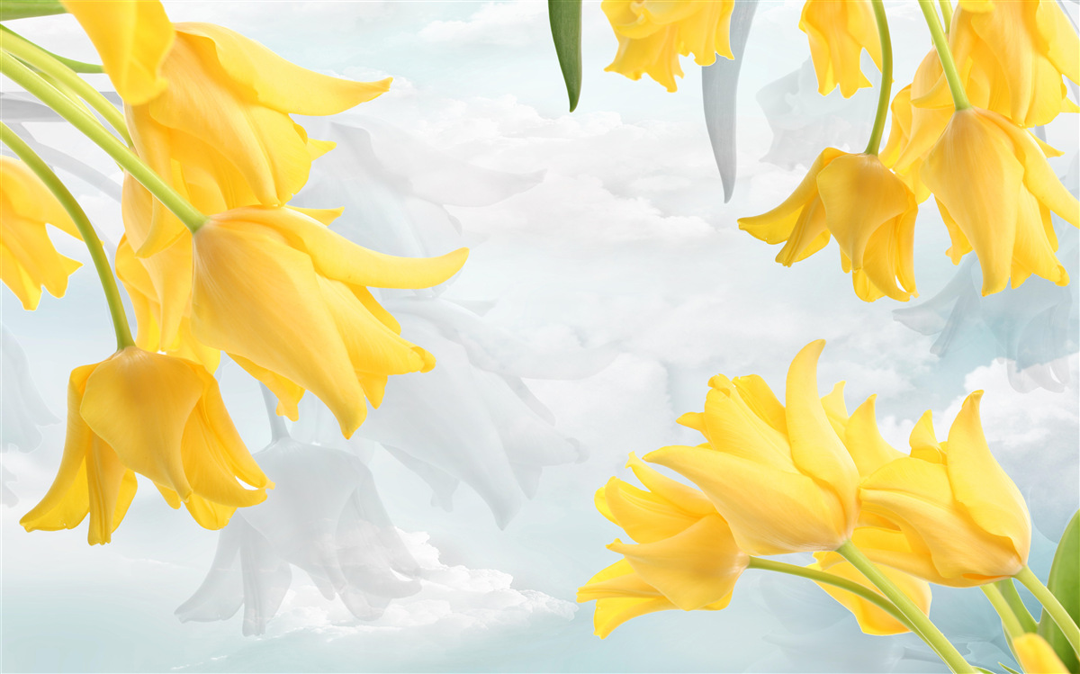 Fotobehang Gele tulpen tegen een blauwe lucht